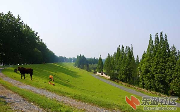2011317113048175.jpg