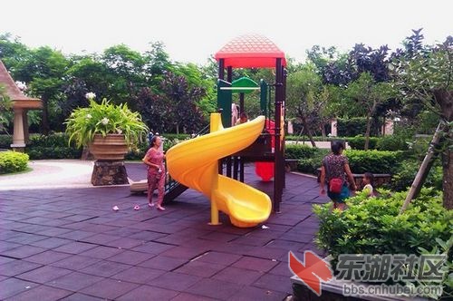 5青春豆.jpg