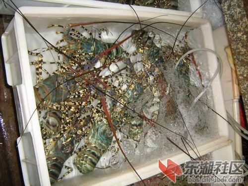 10海鲜.jpg