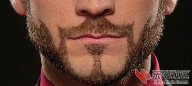 beardSENCA.jpg