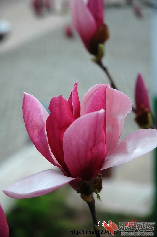 DSC_0847.jpg