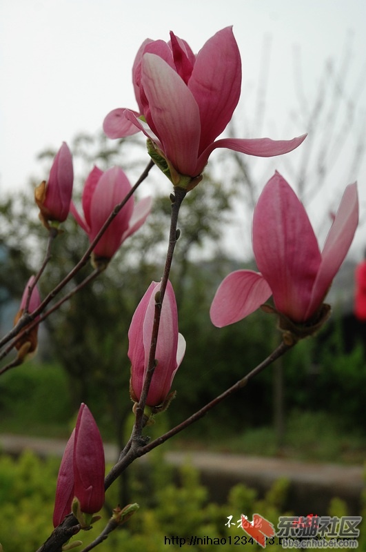 DSC_0860.jpg