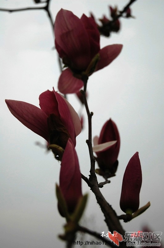 DSC_0863.jpg