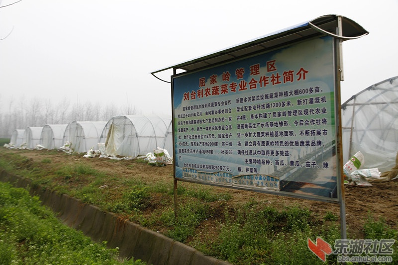 _mg_7403_副本.jpg