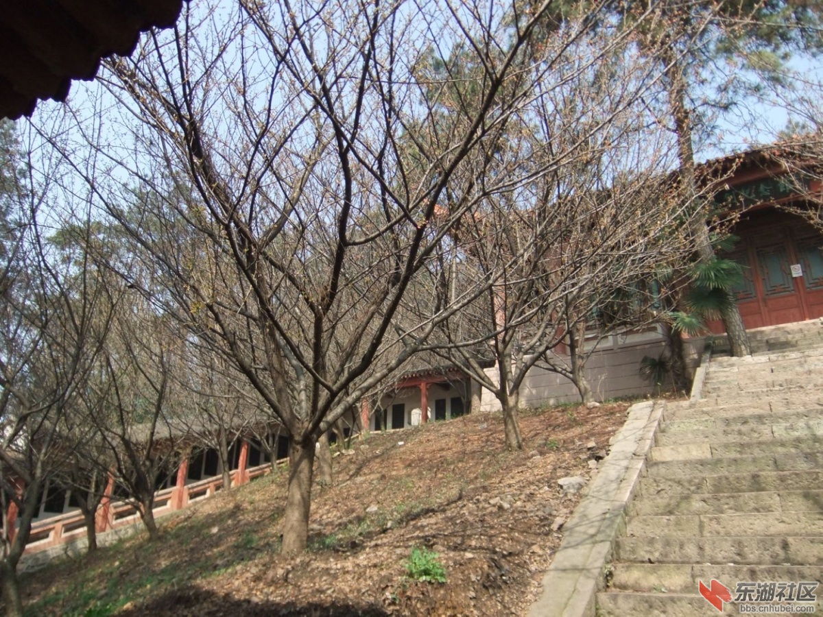 DSCF0022a.jpg