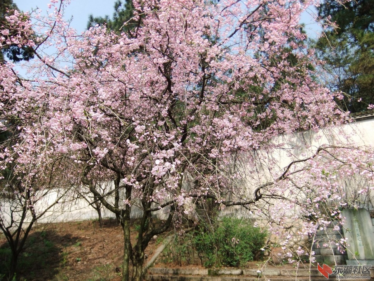 DSCF0024a.jpg