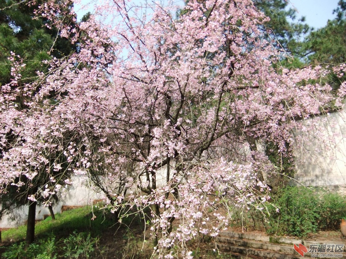 DSCF0025a.jpg