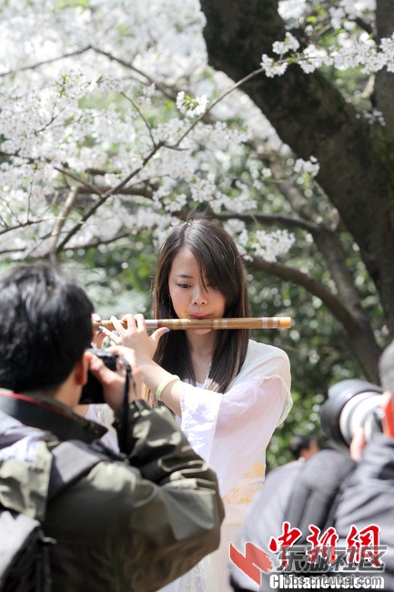月31日，阳春三月，武汉春意浓。前往武汉大学校园欣赏樱花的游客络绎不绝，许多旅客都.jpg