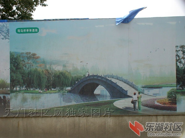DSC02380.jpg
