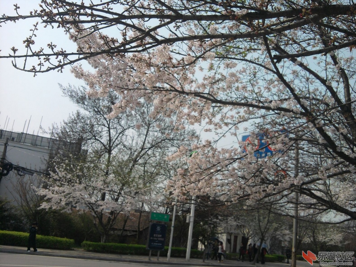 照片0079.jpg