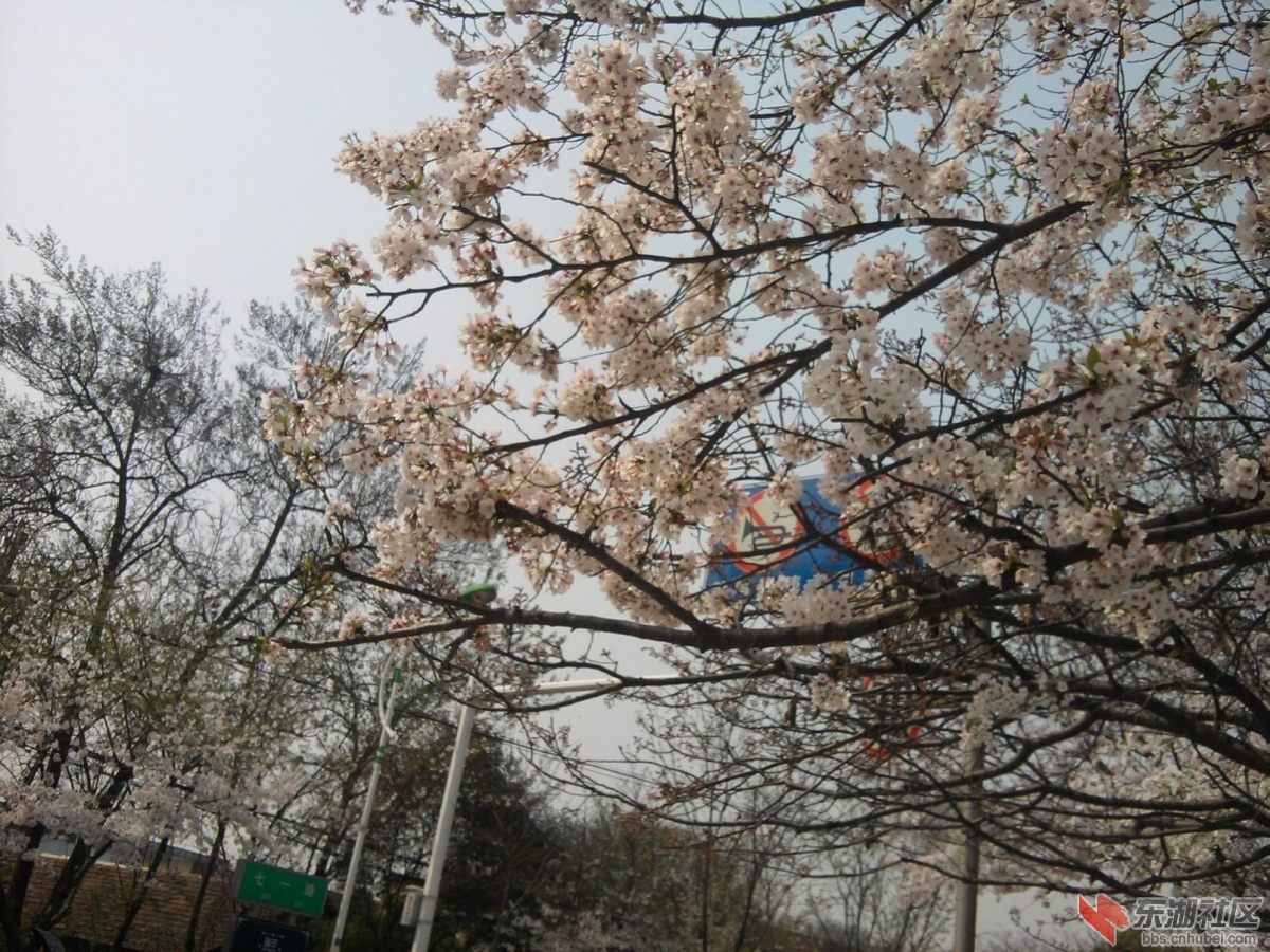 照片0081.jpg