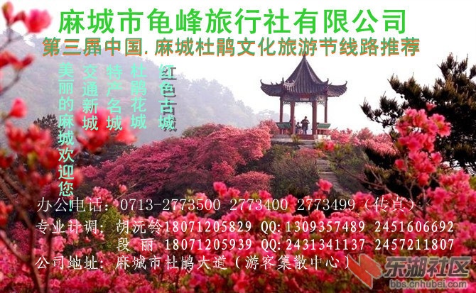 杜鹃花海