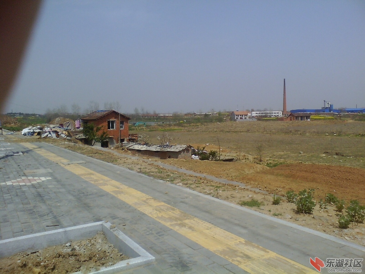 IMG1165A_A.jpg