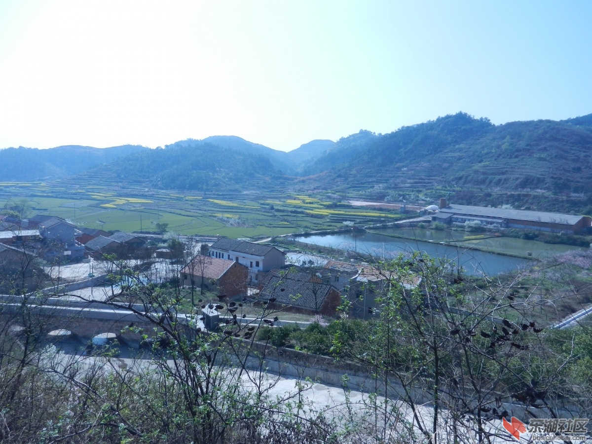 沼山远眺