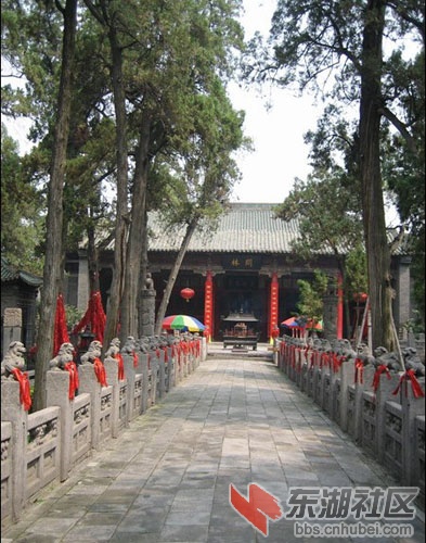 关林2.jpg