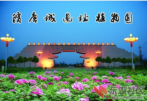 隋唐植物园1.jpg