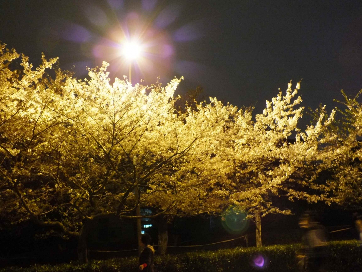 DSCF1281.JPG