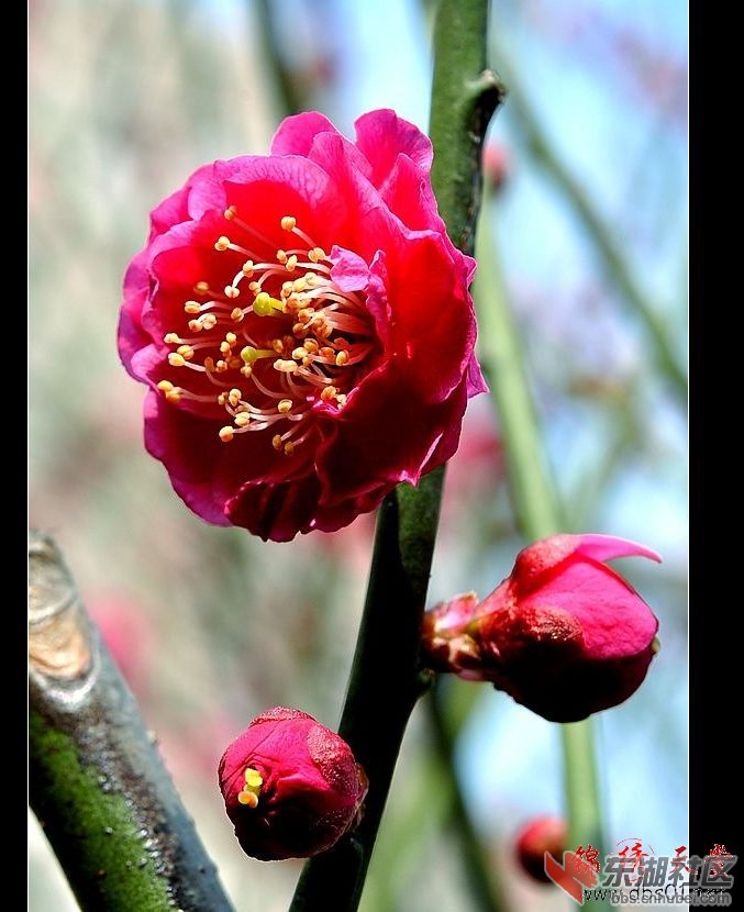 201232012586.jpg