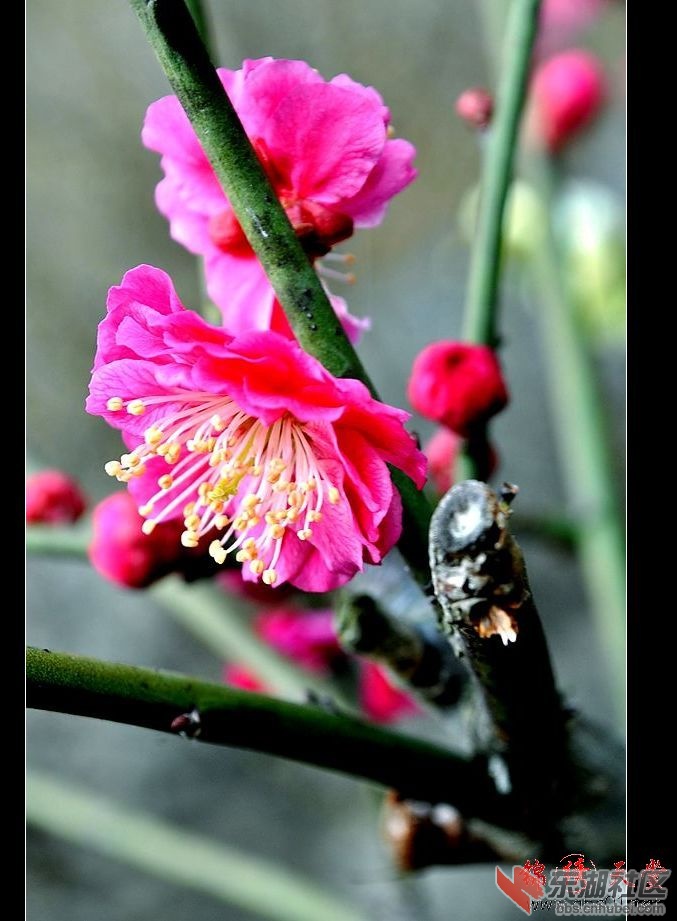 201232013016.jpg
