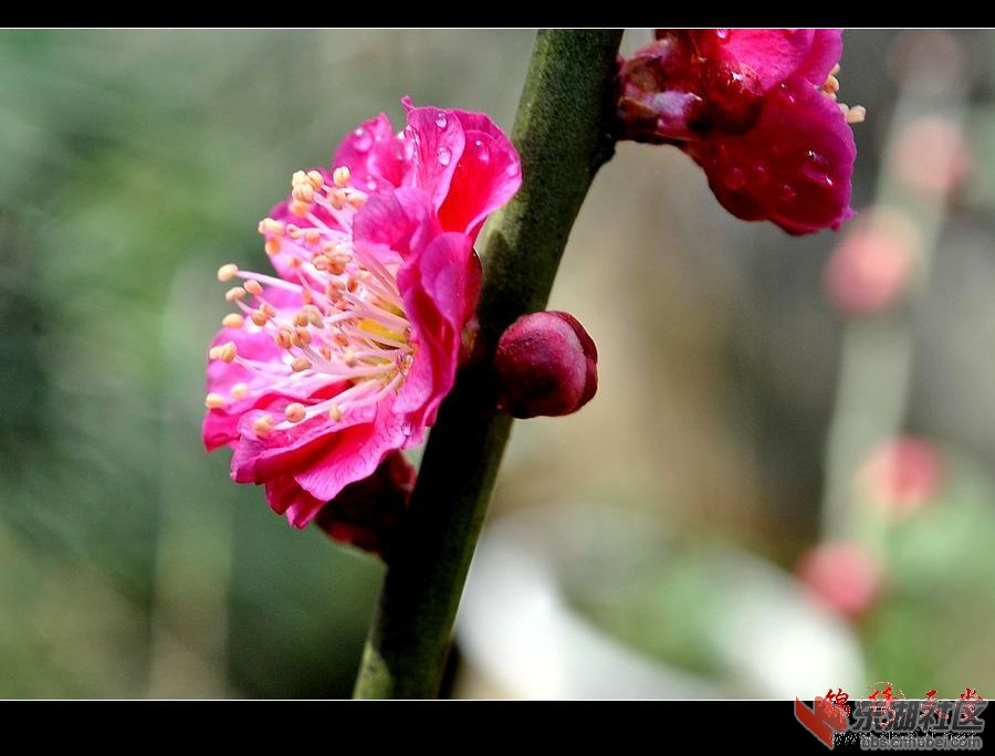 201232013359.jpg