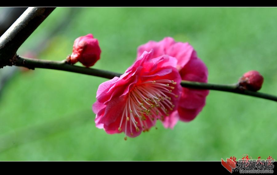 201232013544.jpg