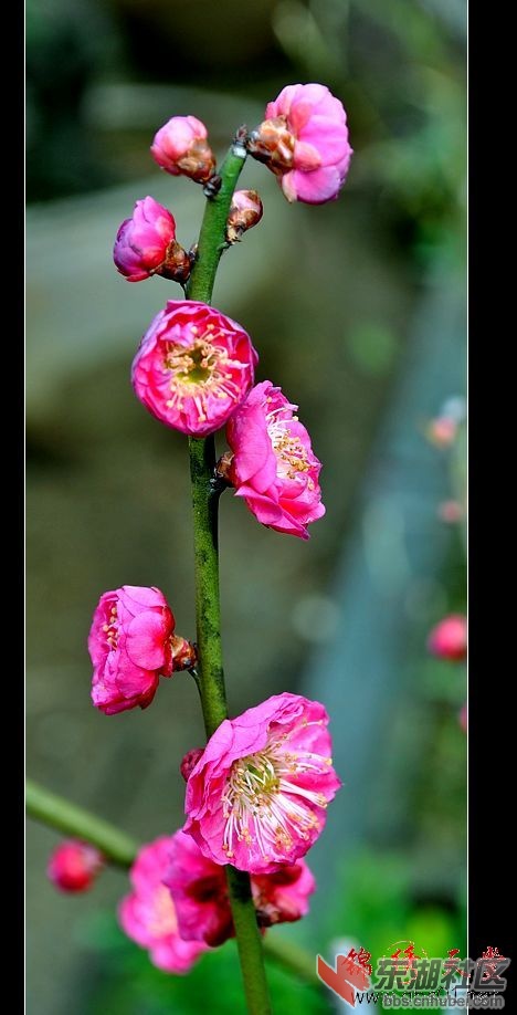 2012320124948.jpg