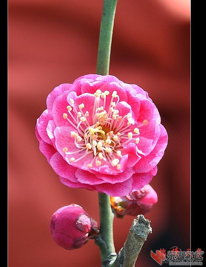 2012320125143.jpg