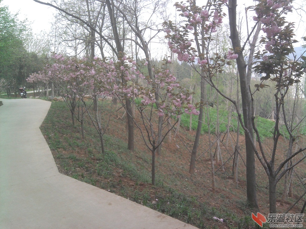 照片0052.jpg