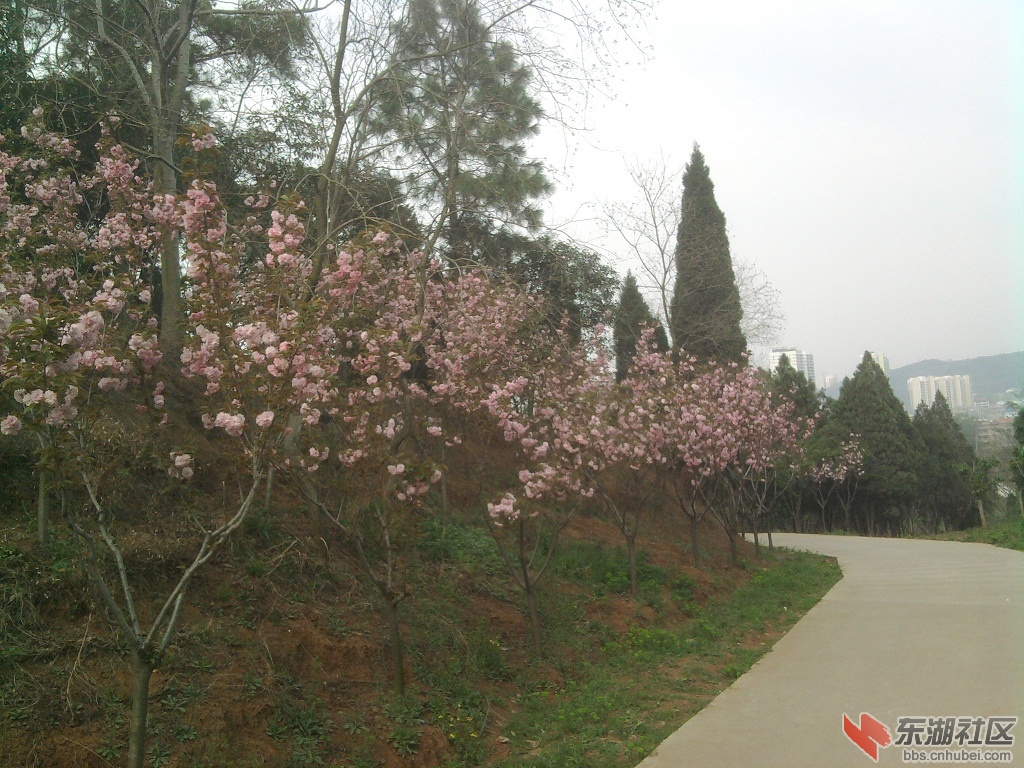 照片0057.jpg