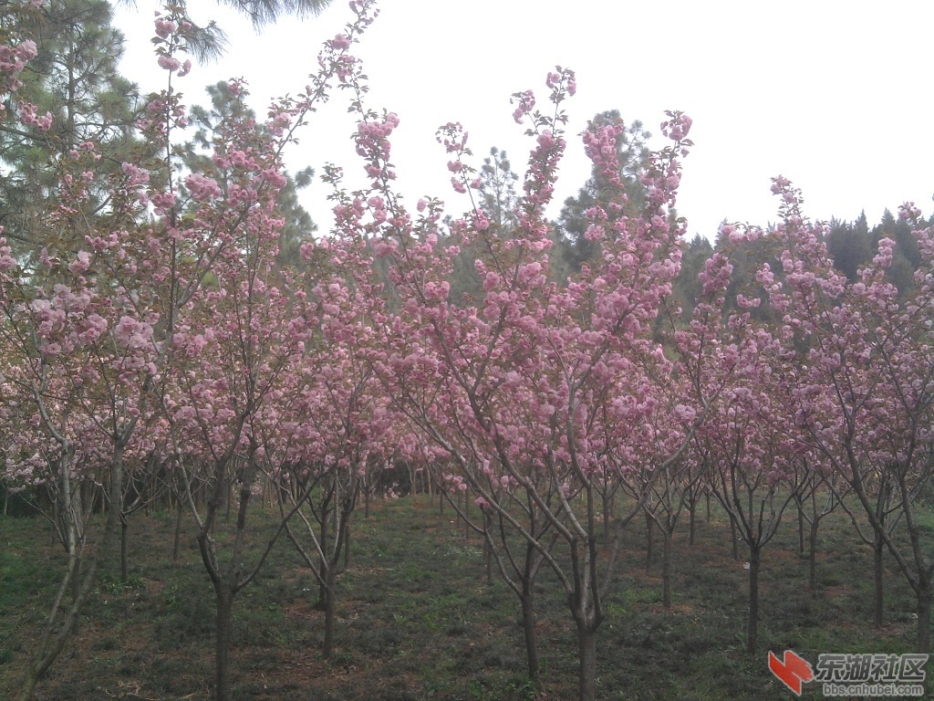 照片0065.jpg