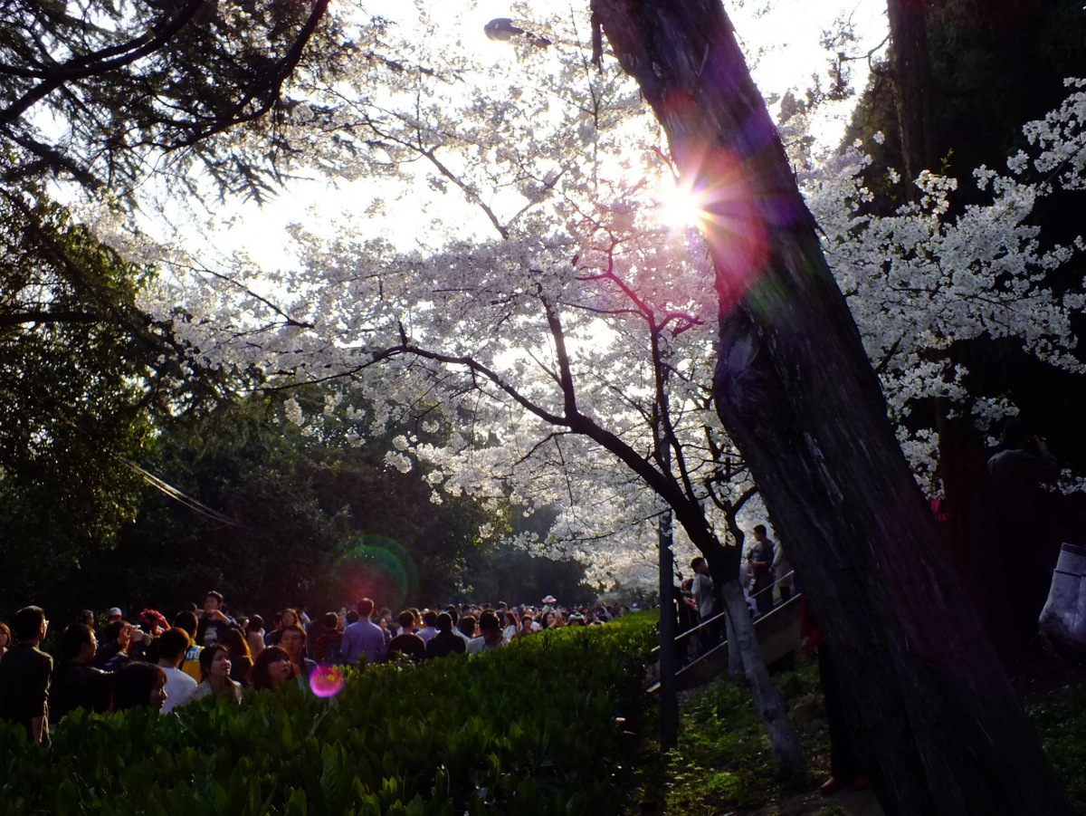 DSCF1215.jpg