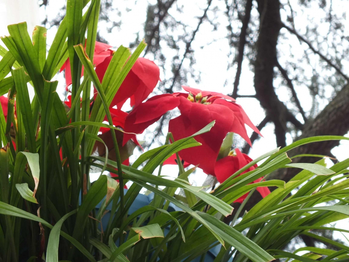 DSCF1402.jpg