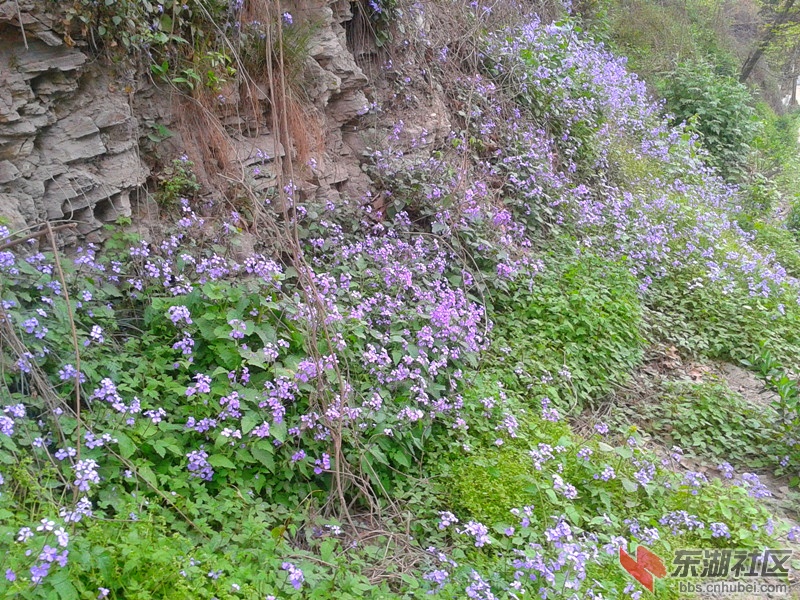 2012-04-09 14.07.4.jpg