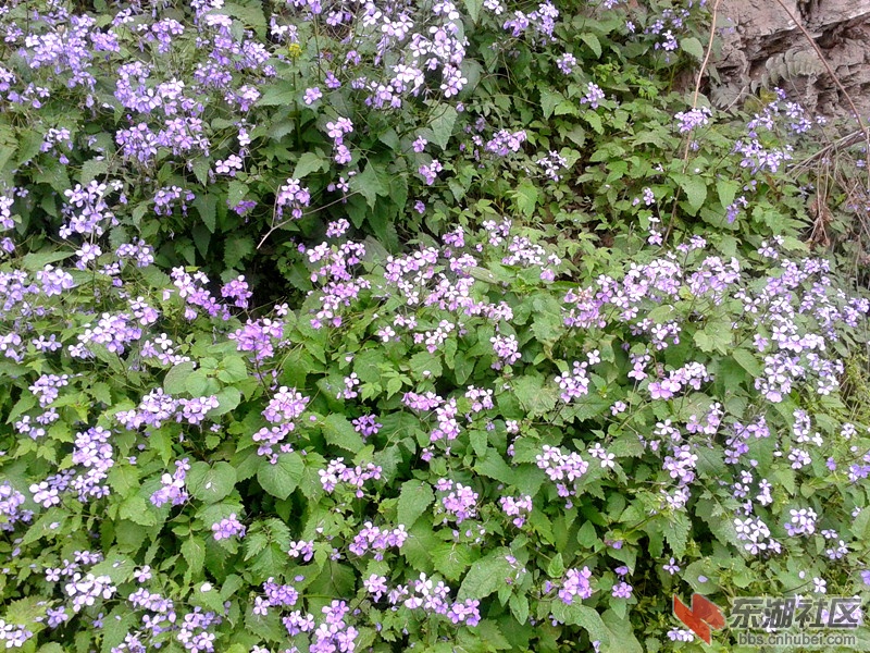 2012-04-09 14.07.51.jpg