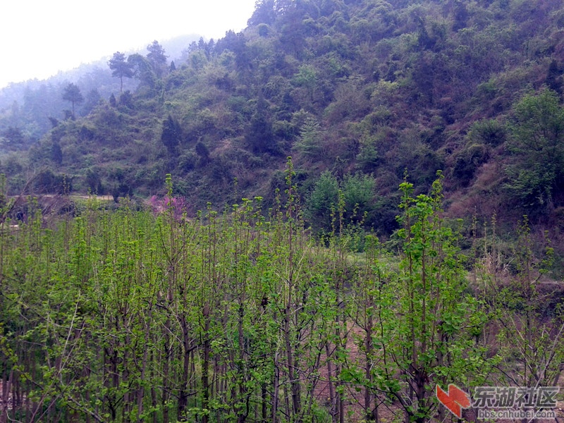 2012-04-09 14.21.48.jpg