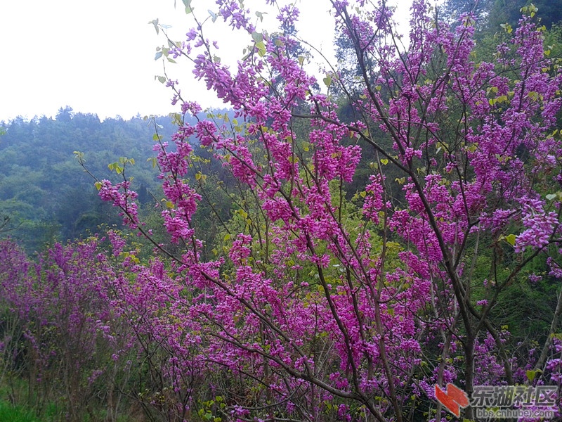 2012-04-09 14.28.07.jpg
