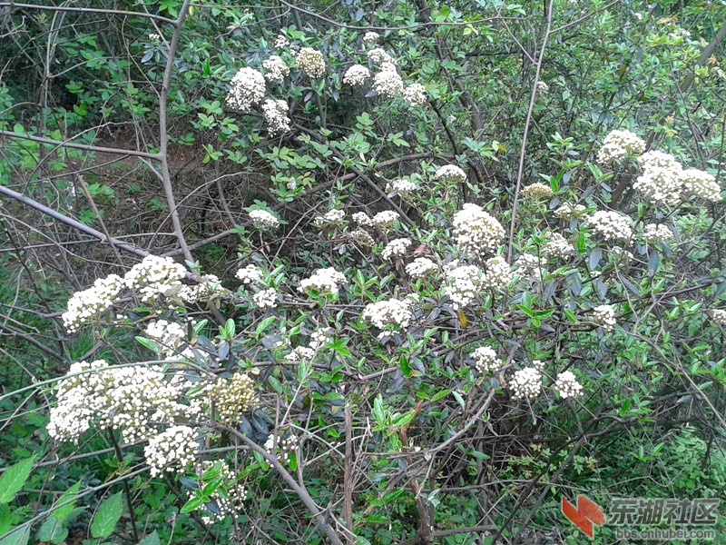 2012-04-09 14.37.51.jpg