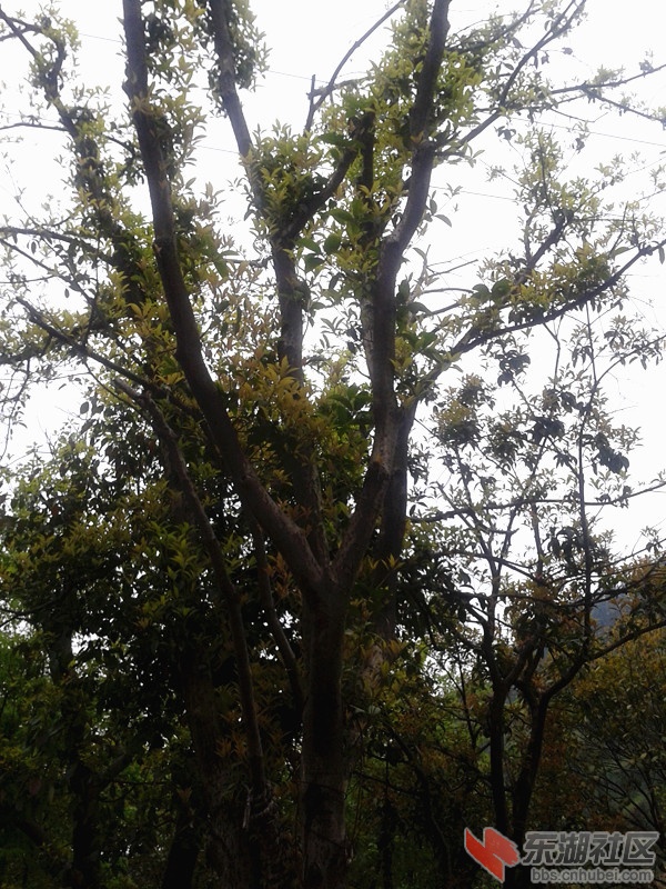 2012-04-09 14.18.59.jpg