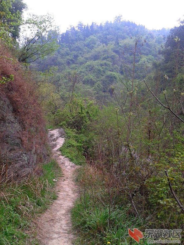 2012-04-09 14.29.30.jpg