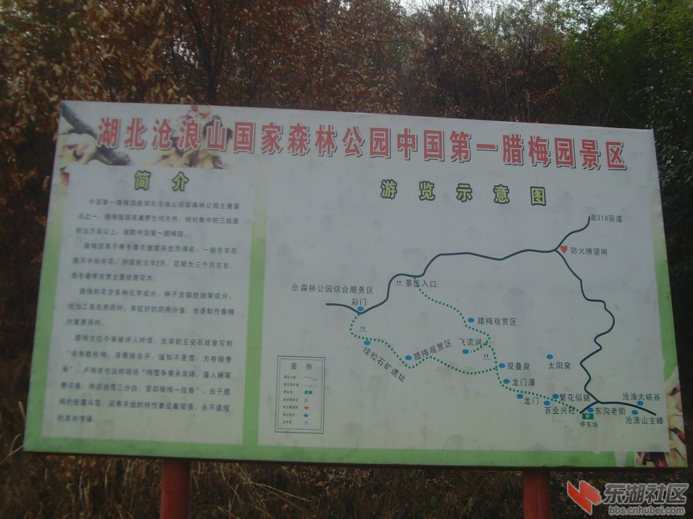 05.JPG