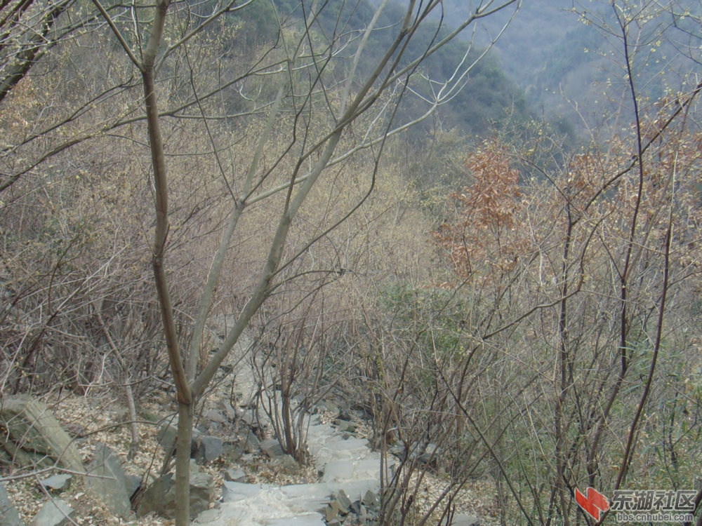 07.JPG