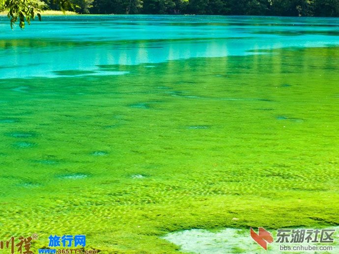 九寨沟55.jpg
