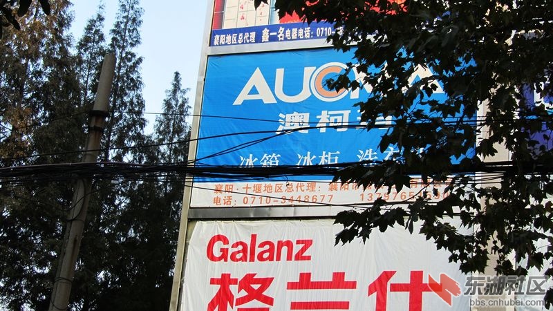 南瓜19.jpg
