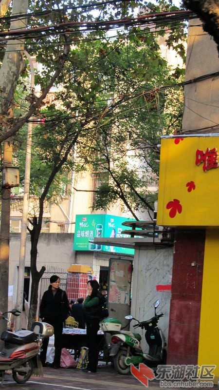 南瓜22.jpg
