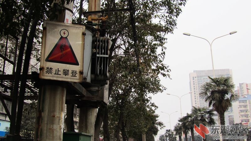 南瓜25.jpg