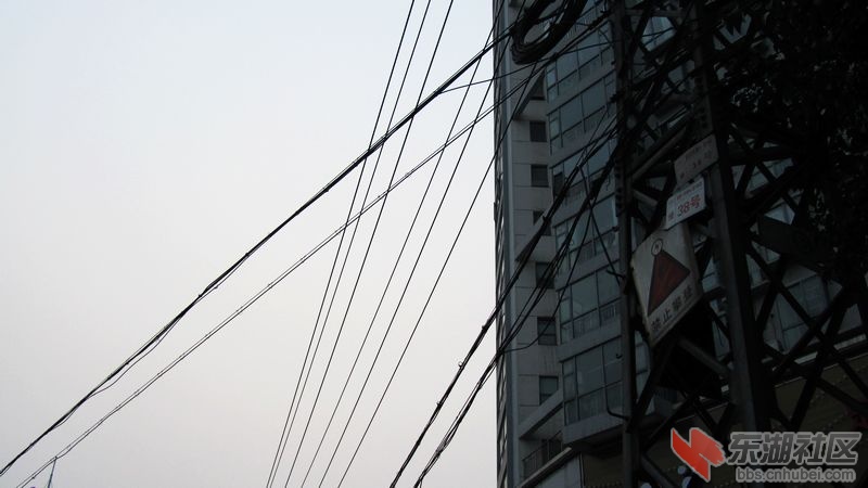 南瓜26.jpg