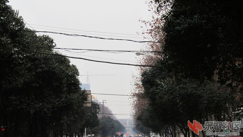 南瓜28.jpg