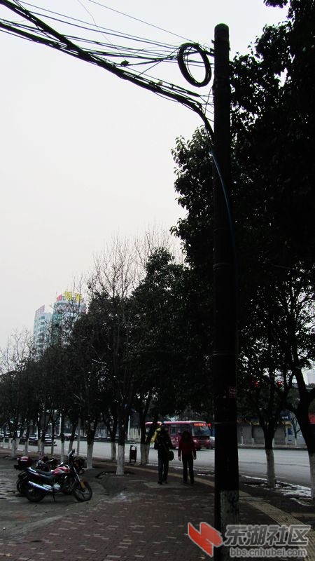 南瓜29.jpg