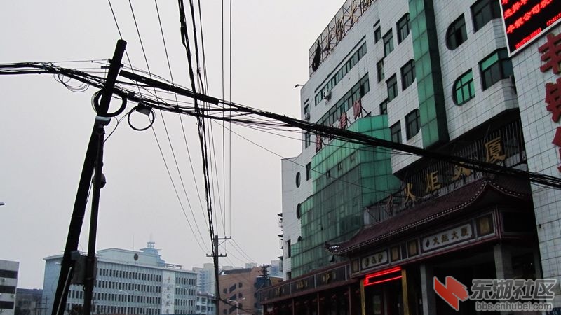 南瓜30.jpg