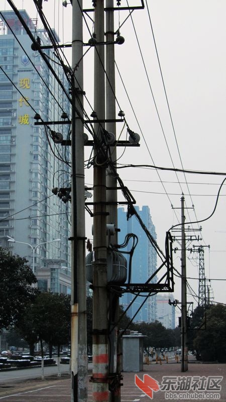 南瓜32.jpg